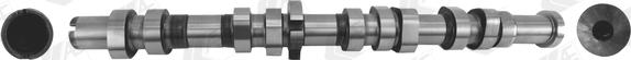 AE CAM1011 - Camshaft www.parts5.com