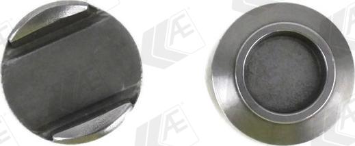 AE TTP3 - Element dociskowy, zawór dolotowy / wylotowy www.parts5.com