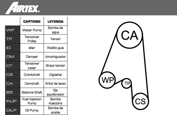 Airtex WPK-153002 - Su pompası + Triger kayışı seti www.parts5.com