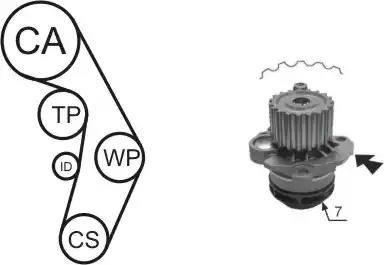 Airtex WPK-177404 - Water Pump & Timing Belt Set www.parts5.com