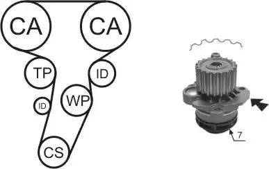 Airtex WPK-177403 - Water Pump & Timing Belt Set www.parts5.com