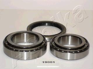 Ashika 44-19001 - Wheel hub, bearing Kit www.parts5.com