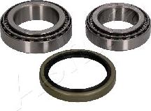 Ashika 44-19001 - Set rulment roata www.parts5.com