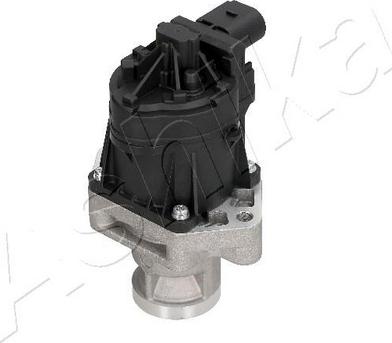 Ashika 150-00-0213 - EGR Valve www.parts5.com