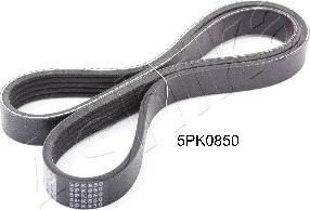 Ashika 112-5PK850 - V-Ribbed Belt parts5.com