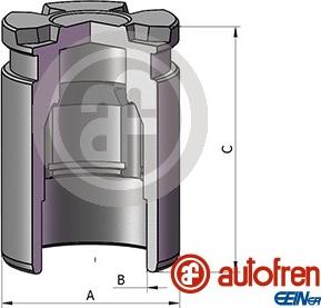 AUTOFREN SEINSA D025698 - Tłoczek, zacisk hamulca www.parts5.com