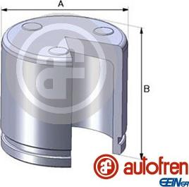 AUTOFREN SEINSA D02551 - Dugattyú, féknyereg www.parts5.com