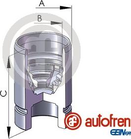 AUTOFREN SEINSA D02589 - Piston, etrier frana www.parts5.com