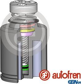 AUTOFREN SEINSA D025234LK - Piston, brake caliper www.parts5.com