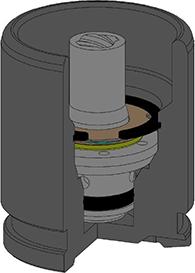 AUTOFREN SEINSA D025786K - Piston, brake caliper www.parts5.com