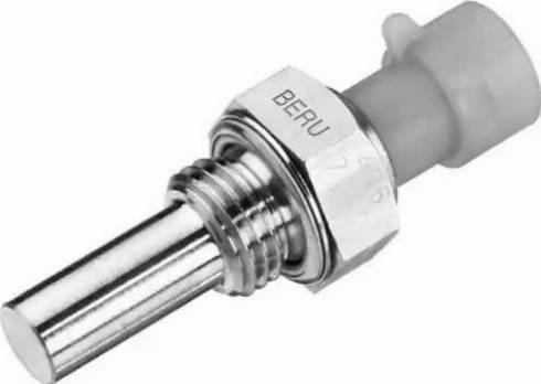 BorgWarner (BERU) ST025 - Senzor,temperatura lichid de racire www.parts5.com