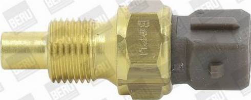 BorgWarner (BERU) ST250 - Senzor,temperatura lichid de racire www.parts5.com