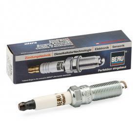 BorgWarner (BERU) Z376 - Spark Plug www.parts5.com