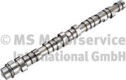 BF 20100411003 - Camshaft www.parts5.com