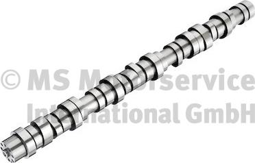 BF 20100413010 - Camshaft www.parts5.com