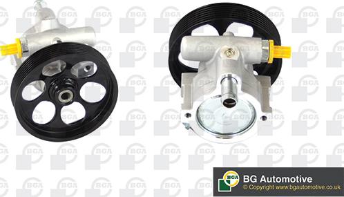 BGA PSP6310 - Hydraulic Pump, steering system parts5.com