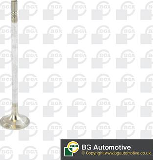 BGA V016840 - Izduvni ventil www.parts5.com