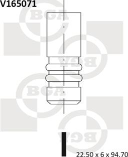 BGA V165071 - Supapa evacuare www.parts5.com