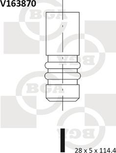 BGA V163870 - Inlet Valve www.parts5.com