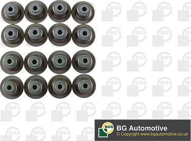 BGA VK2372 - Set garnituri, ax supape www.parts5.com