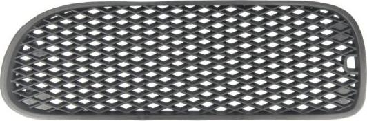 BLIC 9999-43-003941P - Ventilation Grille, bumper www.parts5.com