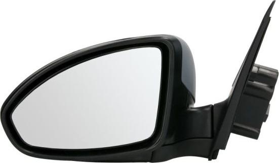 BLIC 5402-56-009365P - Retrovisor exterior www.parts5.com