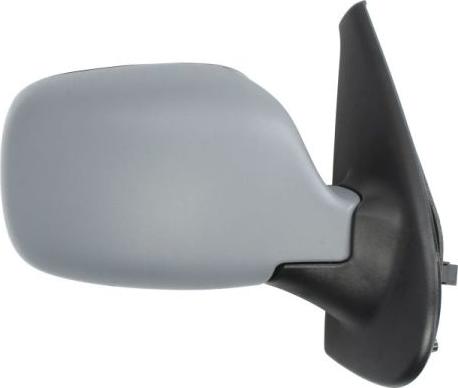 BLIC 5402-04-9229172P - Outside Mirror www.parts5.com