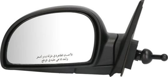 BLIC 5402-04-1112575P - Retrovisor exterior www.parts5.com