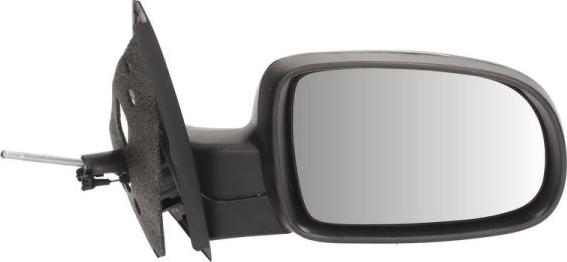 BLIC 5402-04-1138227P - Retrovisor exterior www.parts5.com