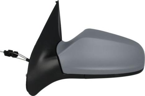 BLIC 5402-04-1137238P - Retrovisor exterior parts5.com