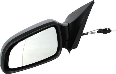 BLIC 5402-04-1137238P - Retrovisor exterior parts5.com