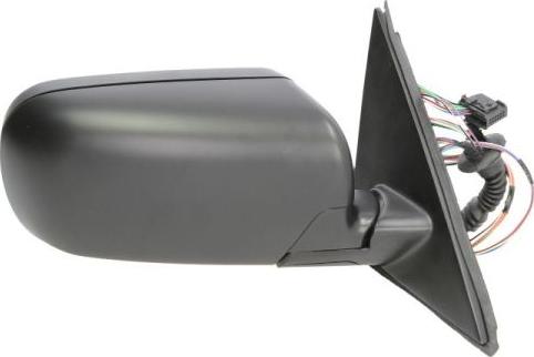 BLIC 5402-04-1121825P - Retrovisor exterior www.parts5.com