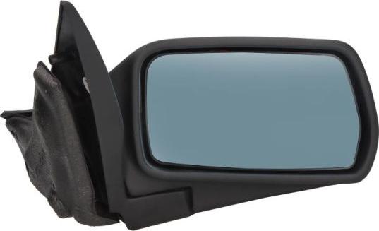 BLIC 5402-04-1121355P - Retrovisor exterior www.parts5.com