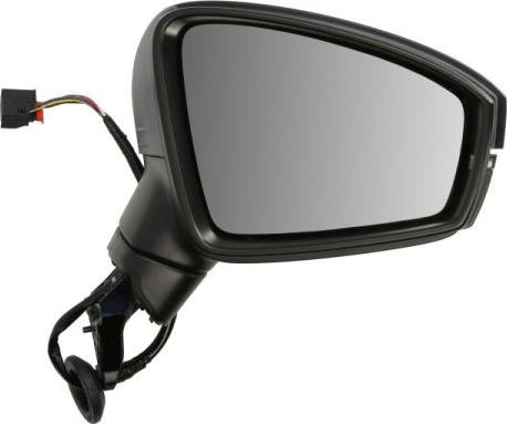 BLIC 5402-01-1609311P - Outside Mirror www.parts5.com