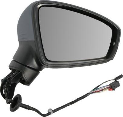 BLIC 5402-01-1609313P - Outside Mirror www.parts5.com