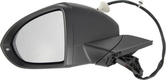 BLIC 5402-01-2002641P - Retrovisor exterior www.parts5.com