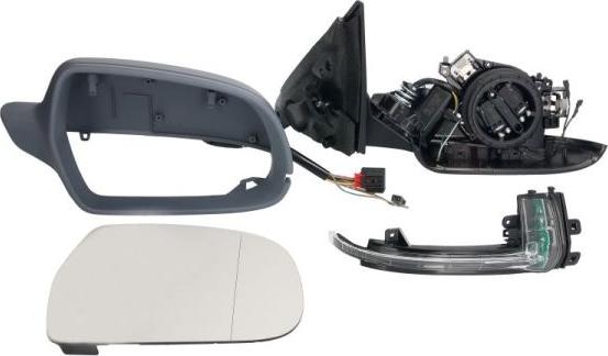 BLIC 5402-25-049338P - Outside Mirror parts5.com