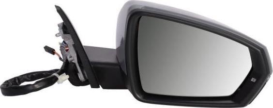 BLIC 5402-25-2205317P - Outside Mirror www.parts5.com