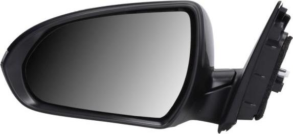 BLIC 5402-20-1966316P - Outside Mirror www.parts5.com