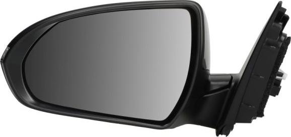 BLIC 5402-20-1966318P - Outside Mirror www.parts5.com