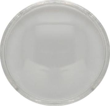 BLIC 5410-43-1330105P - Diffusing Lens, headlight www.parts5.com