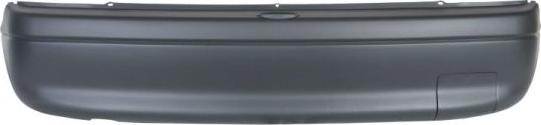 BLIC 5506-00-5022955Q - Bumper www.parts5.com