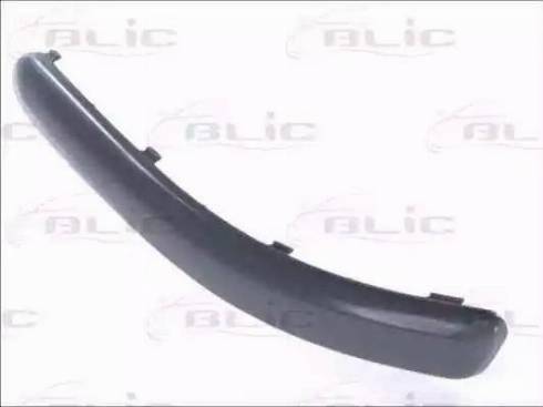 BLIC 5510-00-9506923P - Trim - Protective Strip, bumper parts5.com
