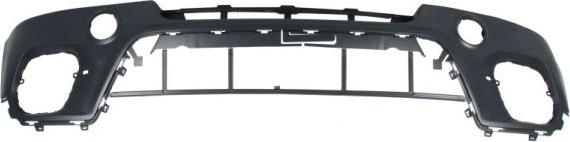 BLIC 5510-00-0096905P - Bumper www.parts5.com