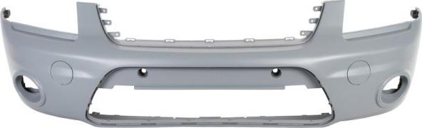 BLIC 5510-00-2507909Q - Bumper www.parts5.com