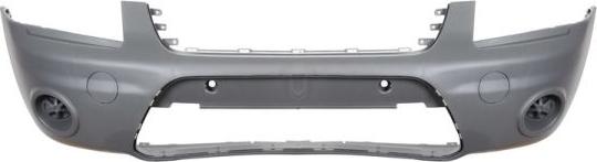 BLIC 5510-00-2507906Q - Bumper www.parts5.com