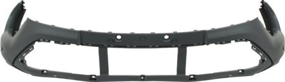 BLIC 5510-00-2512904P - Bumper www.parts5.com