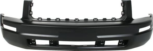 BLIC 5510-00-2585900P - Bumper www.parts5.com