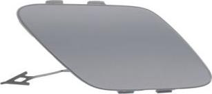 BLIC 5513-00-5054920Q - Flap, tow hook www.parts5.com