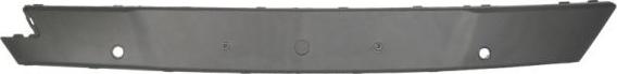 BLIC 5513-00-5053926P - Trim - Protective Strip, bumper parts5.com